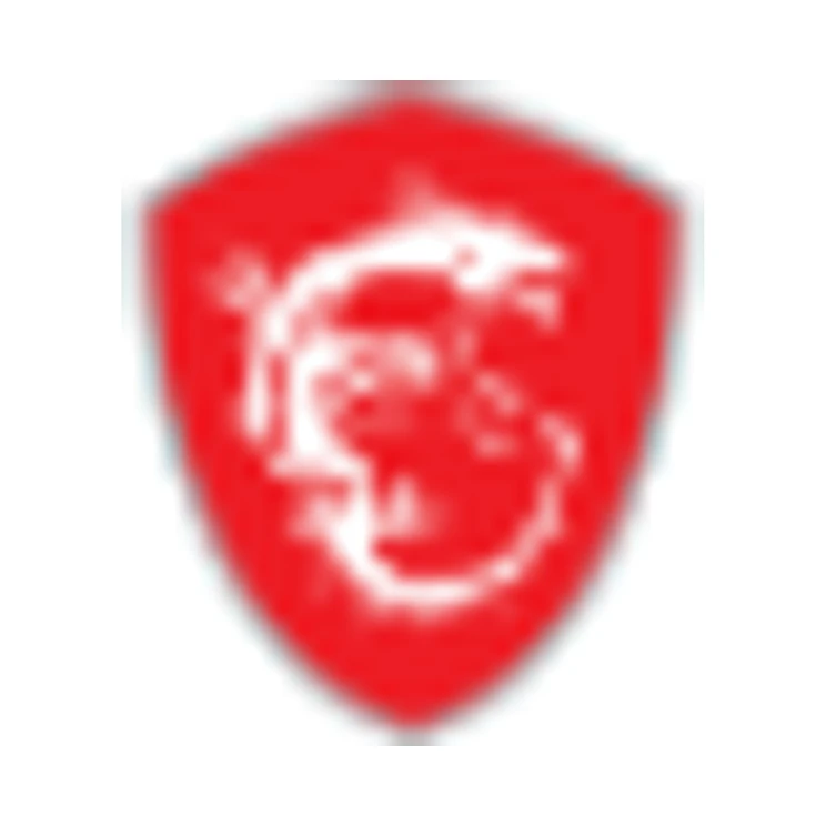 MSI logo