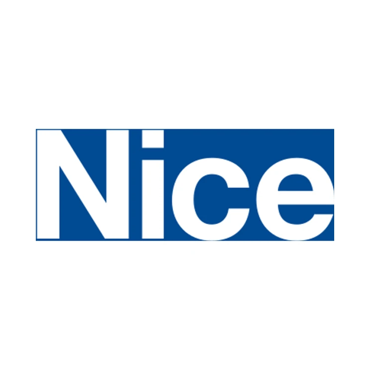 Nice logo