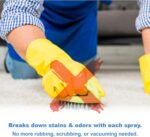 Spot Shot Professional Instant Carpet Stain Remover No-Scrub Aerosol, 14 oz - Image 4