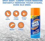 Spot Shot Professional Instant Carpet Stain Remover No-Scrub Aerosol, 14 oz - Image 2